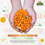 Biosash Sea Buckthorn Seed Oil Capsules 30 Caps | CO2 Extracted from Certified Organic Berries | Ome