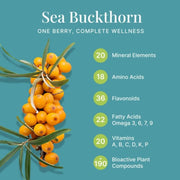 CONSA Organic Sea Buckthorn Berry Powder 200g | 100% Pure, No Additives | Rich in Vitamins, Minerals