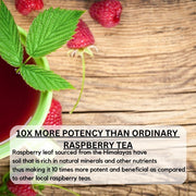 Vaastavik Red Raspberry Leaf Tea – 100g | Himalayan Sourced | Herbal Loose Leaf Tea Cut | Naturally Caffeine-Free | Traditional Women’s Wellness Herb