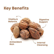 Just Jaivik Organic Haritaki Powder (Terminalia Chebula) 227g