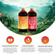 Uveda Naturals Nephro Panchamrit & Nephro Panchamrit Plus Sugar Free Combo (450ml x 2) | Ayurvedic D