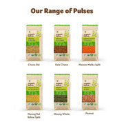 Organic Tattva, Organic Roasted Chana Dal, 500g | 100% Vegan, Gluten Free and NO Additives