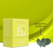 Aroma Magic Eucalyptus Essential Oil – Pure Eucalyptus Globulus | Clears Congestion, for Dandruff & Aches – 10ml