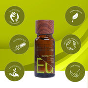 Aroma Magic Eucalyptus Essential Oil – Pure Eucalyptus Globulus | Clears Congestion, for Dandruff & Aches – 10ml
