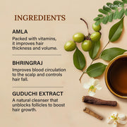 Auravedic Bhringaraj Hair Oil For Hair Fall Control Oil with Amla Mahabhringraj Oil For Hair Growth Serum For Scalp 100 ML Ayurvedic Hairoil