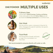 Wellwith by Ayuzera Himalayan Sea Buckthorn Berries Powder, 100g | Rich in Omega 3, 6, 7, 9 | Collagen, Fiber, Omegas, Vitamin C, Vitamin E | Dry Sea Buckthorn Berry Powder (100, Grams)