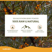 Wellwith by Ayuzera Himalayan Sea Buckthorn Berries Powder, 100g | Rich in Omega 3, 6, 7, 9 | Collagen, Fiber, Omegas, Vitamin C, Vitamin E | Dry Sea Buckthorn Berry Powder (100, Grams)