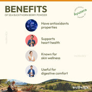 Wellwith by Ayuzera Himalayan Sea Buckthorn Berries Powder, 100g | Rich in Omega 3, 6, 7, 9 | Collagen, Fiber, Omegas, Vitamin C, Vitamin E | Dry Sea Buckthorn Berry Powder (100, Grams)