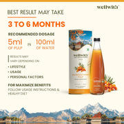 Ayuzera (Wellwith) Himalayan Sea Buckthorn Pulp Concentrate 300ml