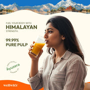 Ayuzera (Wellwith) Himalayan Sea Buckthorn Pulp Concentrate 300ml