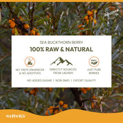 Ayuzera (Wellwith) Himalayan Sea Buckthorn Pulp Concentrate 300ml