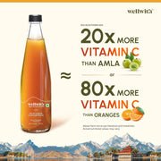 Ayuzera (Wellwith) Himalayan Sea Buckthorn Pulp Concentrate 300ml