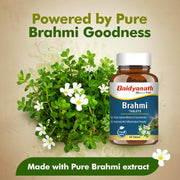 Baidyanath Ayurved Brahmi Tablets - 60 Tab | Helps To Handle Life’s Daily Stress | Promotes Mind Relaxation| (Pack of 1)