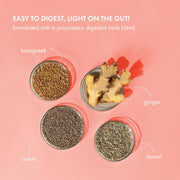Cosmix No-Nonsense Plant Protein- 500gm | 23g Plant Protein/Serve| Chilli Guava | Clean Vegan Protein |Gut-Friendly| Easy to Digest | All Essential Amino Acids |Made with Real Guntur Chilli |