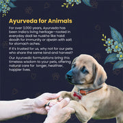 FUR BALL STORY Dermaprove Dog Shampoo Antifungal & Antibacterial Gentle Cleanser for Itch Relief | Supports Sensitive Skin Care | Helps Maintain Skin Hygiene | 300 ml