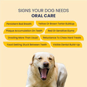 FUR BALL STORY Canni Clean Oral Care Spray for Pets | Pet Dental Spray for Fresh Breath, Plaque & Tartar Removal | Supports Gum Health & Teeth Cleaning | with Peppermint, Fennel (Saunf) & Clove Oil