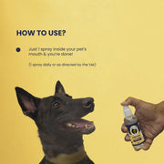 FUR BALL STORY Canni Clean Oral Care Spray for Pets | Pet Dental Spray for Fresh Breath, Plaque & Tartar Removal | Supports Gum Health & Teeth Cleaning | with Peppermint, Fennel (Saunf) & Clove Oil