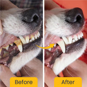 FUR BALL STORY Canni Clean Oral Care Spray for Pets | Pet Dental Spray for Fresh Breath, Plaque & Tartar Removal | Supports Gum Health & Teeth Cleaning | with Peppermint, Fennel (Saunf) & Clove Oil