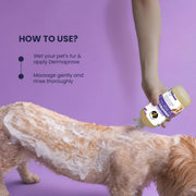 FUR BALL STORY Dermaprove Dog Shampoo Antifungal & Antibacterial Gentle Cleanser for Itch Relief | Supports Sensitive Skin Care | Helps Maintain Skin Hygiene | 300 ml
