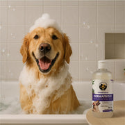 FUR BALL STORY Dermaprove Dog Shampoo Antifungal & Antibacterial Gentle Cleanser for Itch Relief | Supports Sensitive Skin Care | Helps Maintain Skin Hygiene | 300 ml