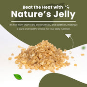 Go Vegan Pure Natural Gond Katira 100gram | Almond Gum Badam Pisin, Tragacanth Gum | High Cooling Properties | 100% Natural Superfood