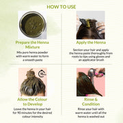 INDUS VALLEY 100% Organic Henna Hair Color Dark Brown Nourishes and Moisturizes Hairs Triple Sifted Microfine Powder (100g)