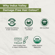 INDUS VALLEY Damage Free Natural Gel Hair Colour for Women | Ammonia & PPD Free Organic Hair Colour with 100% Grey Coverage, Long Lasting Conditioning Hair Color | Medium Brown 4.00-220 ml