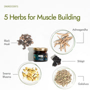 Kapiva Shilajit/Shilajeet Gold Resin - 20g | 500mg/Serving | 40 Servings | Boost Muscle Growth & Stamina | Contains 24 Carat Gold | 100% Ayurvedic