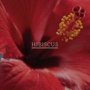 Khadi Natural hibiscus and aloe Vera hair conditioner