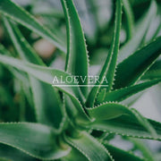 Khadi Natural hibiscus and aloe Vera hair conditioner