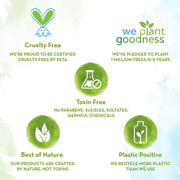 Mamaearth Easy Tummy Roll On for Colic