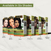 INDUS VALLEY Damage Free Natural Gel Hair Colour for Women | Ammonia & PPD Free Organic Hair Colour with 100% Grey Coverage, Long Lasting Conditioning Hair Color | Medium Brown 4.00-220 ml