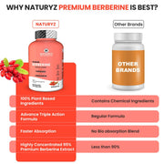 NATURYZ Premium Berberine + Cinnamon + Turmeric Weight Loss Supplement for Women | Supports in Management of PCOS & Hormonal Balance ,Plant Based – No Chemicals | Vegetarian- 60 Capsules