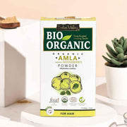 INDUS VALLEY Bio Organic 100% Natural Amla (Indian Gooseberry) Fruit Powder for Hair Growth, Skin Care, Drinking & Eating, Rich in Antioxidants – 100g