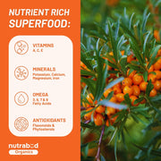 Nutrabud Organics Himalayan Sea Buckthorn Berry Juice - 500 ml - Natural Source of Vitamin C, Omega 3 6 7 9, Antioxidants For Immunity, Skin Glow & Gut Health - 50 Glasses (500ml (Pack of 1))