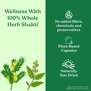 A TATA Product - Organic India Triphala Capsules - 60 Caps, Supports Immune System, Colon & Digestion, Balanced Bowel & Gut Health, Contains Bioactives and Antioxidants, GMP & NPOP Certified Organic