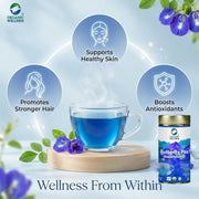 Organic Wellness Butterfly Pea Flower Tea 50G Tin Pack | Caffeine Free Herbal Tea | Stress Relief | Memory Boosting | Calming | Brain Stimulant | Rich Antioxidants | Hair Skin Health