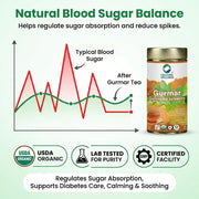 Organic Wellness Gurmar Gymnema Sylvestre Tea 100 Gram Tin | Natural Herbal Tea for Blood Sugar Balance | Supports Diabetes Management Boosts Immunity Reduces Sugar Cravings Aids Weight Loss