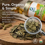 Organic Wellness Gurmar Gymnema Sylvestre Tea 100 Gram Tin | Natural Herbal Tea for Blood Sugar Balance | Supports Diabetes Management Boosts Immunity Reduces Sugar Cravings Aids Weight Loss