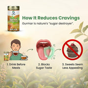 Organic Wellness Gurmar Gymnema Sylvestre Tea 100 Gram Tin | Natural Herbal Tea for Blood Sugar Balance | Supports Diabetes Management Boosts Immunity Reduces Sugar Cravings Aids Weight Loss