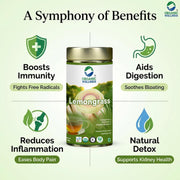 Organic Wellness Lemongrass Tea 100 Gram | Rich in Antioxidant, Antimicrobial & Anti-Inflammatory Properties | Reduce Stress, Uplift Mood, Promote Sleep, Relieve Pain & Boost Immunity | Caffeine Free