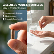 Organic Wellness Licorice 90 N Veg Capsules || Detoxification & Rejuvenation || Improving Digestion || Maintains Regularity || Internal Cleansing