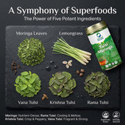 Organic Wellness Tulsi Moringa Herbal Tea - 100g Tin | Superfood Drumstick Leaf Powder | Boost Immunity & Energy | Pack of -1