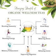 Organic Wellness Tulsi Moringa | Sahjan | Drumstick Leaf Powder | Multi Vitamin Herbal Tea | 25 Tea Bags - Pack of 1