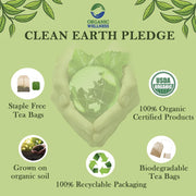 Organic Wellness Tulsi Moringa | Sahjan | Drumstick Leaf Powder | Multi Vitamin Herbal Tea | 25 Tea Bags - Pack of 1