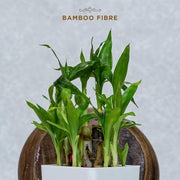 Peesafe sanitary pads 10 pcs pack Bamboo