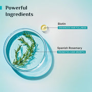 Pilgrim Spanish Rosemary & Biotin Anti Hairfall Shampoo