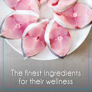 Purepet Adult Dry Cat Food Ocean Fish Flavour