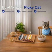 Purepet Adult Dry Cat Food Ocean Fish Flavour