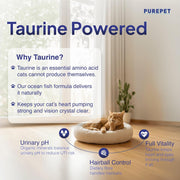 Purepet Adult Dry Cat Food Ocean Fish Flavour